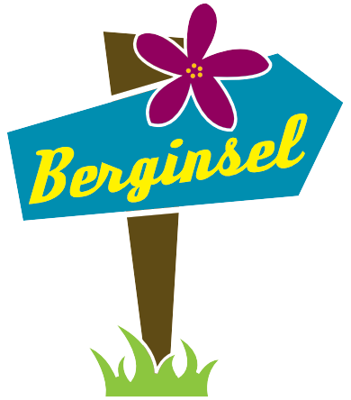 BERGINSEL